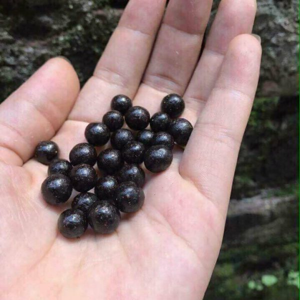 vien hà thủ ô mật ong rừng 500g
