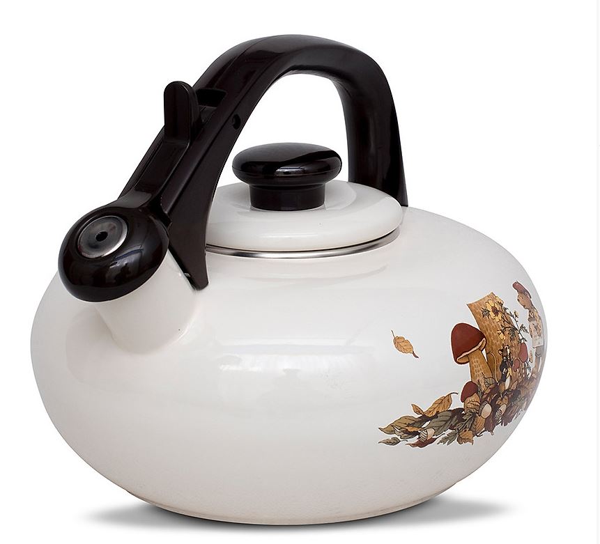 Ấm tráng men Fujihoro – Nhật Bản FTCV-2.8L