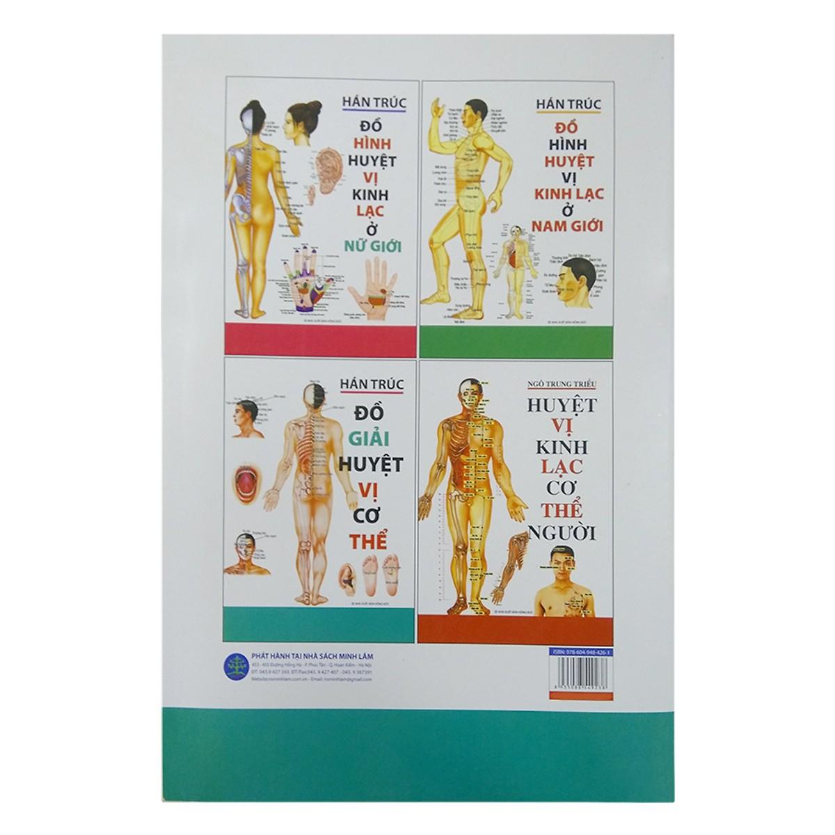 Đồ giải huyệt vị cơ thể