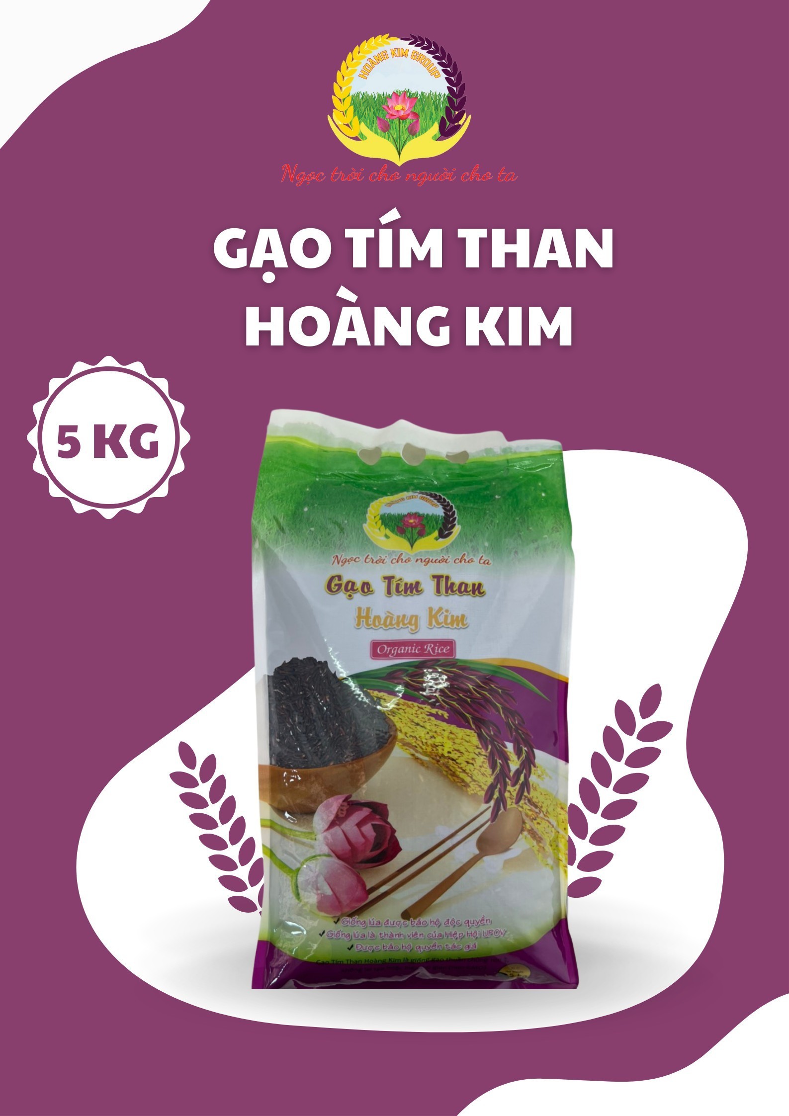 [1,8 - 5KG] GẠO TÍM THAN HOÀNG KIM HỮU CƠ