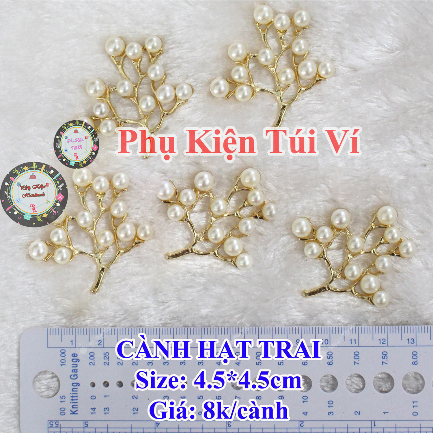 Cành Hạt Trai (15k/cành) trang trí handmade