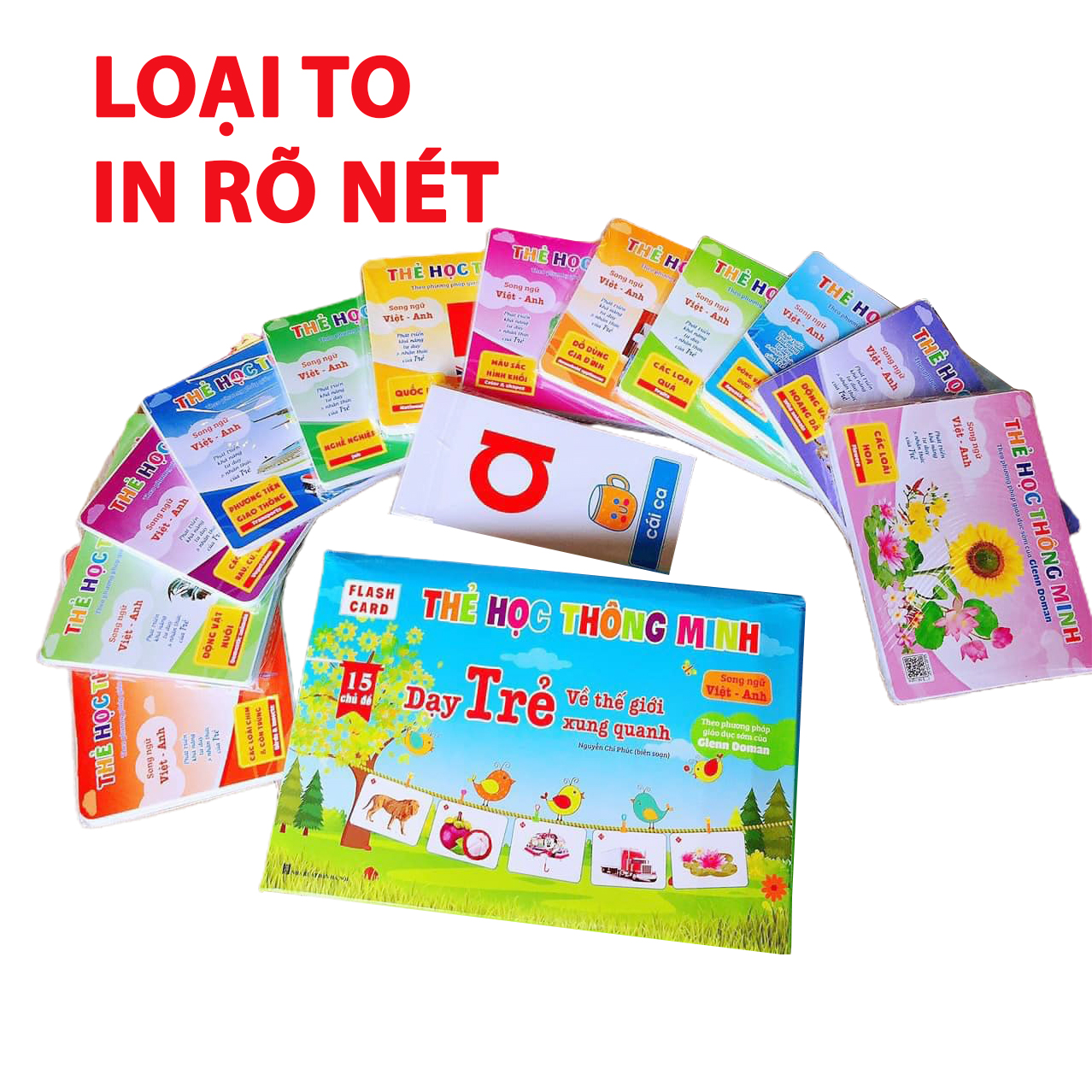 Bộ thẻ học 15 chủ đề song ngữ Anh Việt Loại To