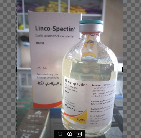 LINCO-SPECTIN 100ML