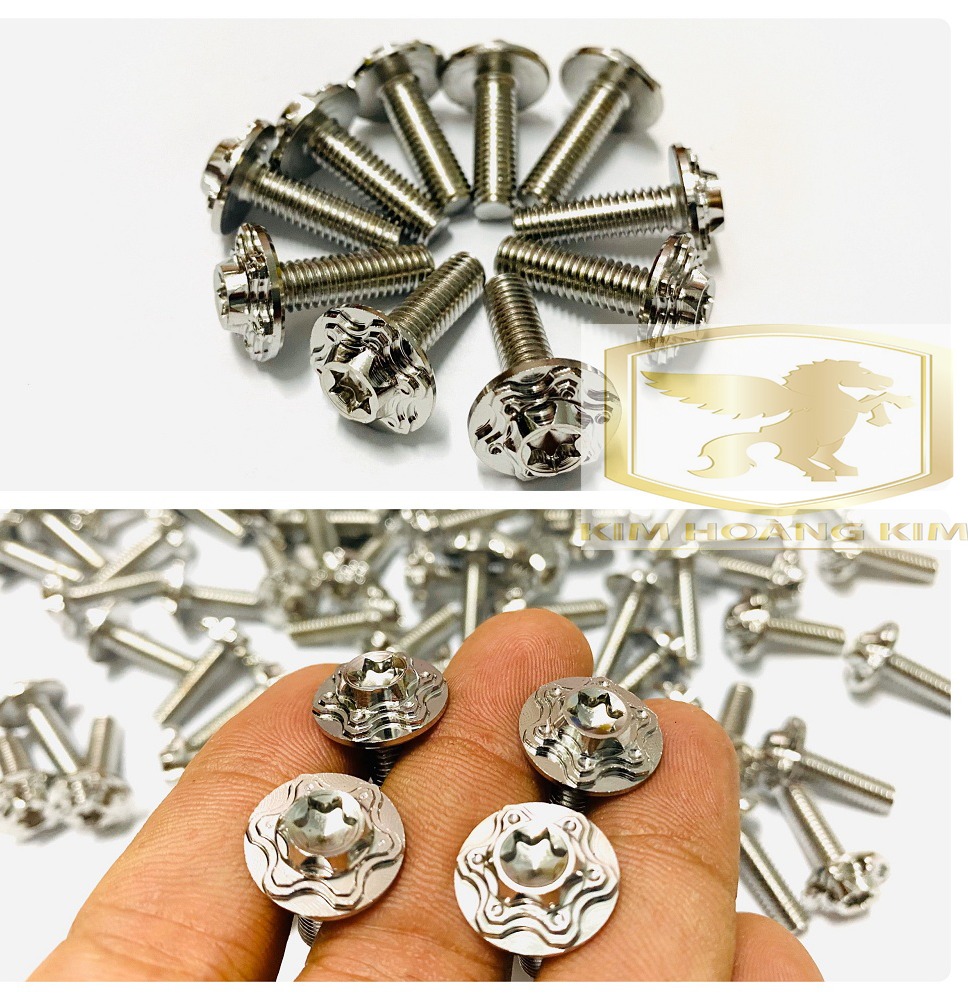 10 Ốc Salaya Inox Đầu Bông 6li20 gắn dán áo các loại xe máy