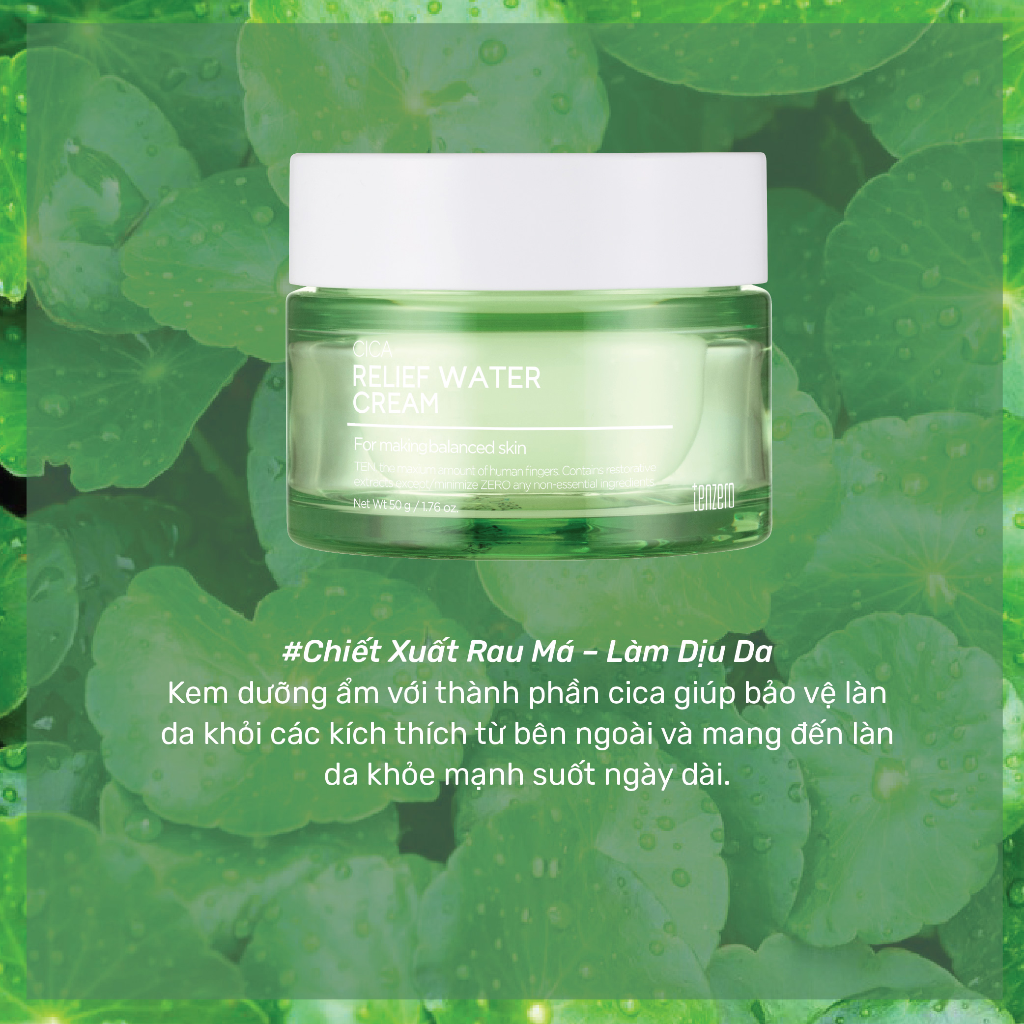 Kem Dưỡng Ẩm Tenzero Water Cream 50g