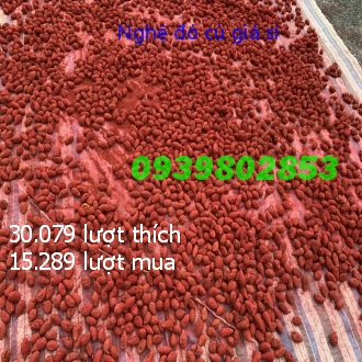 Nghệ đỏ củ cho gà đá 1 ký