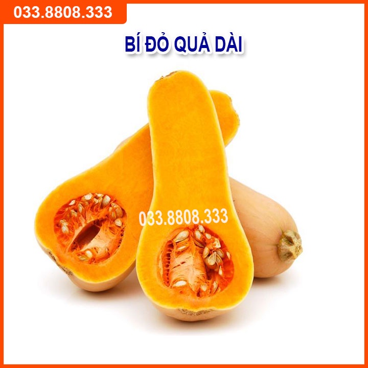 4 Loại Hạt Giống Bầu Bí ( Bí Hồ Lô - Bầu Sao - Bí Hạt Đậu - Bí Ngồi Xanh)