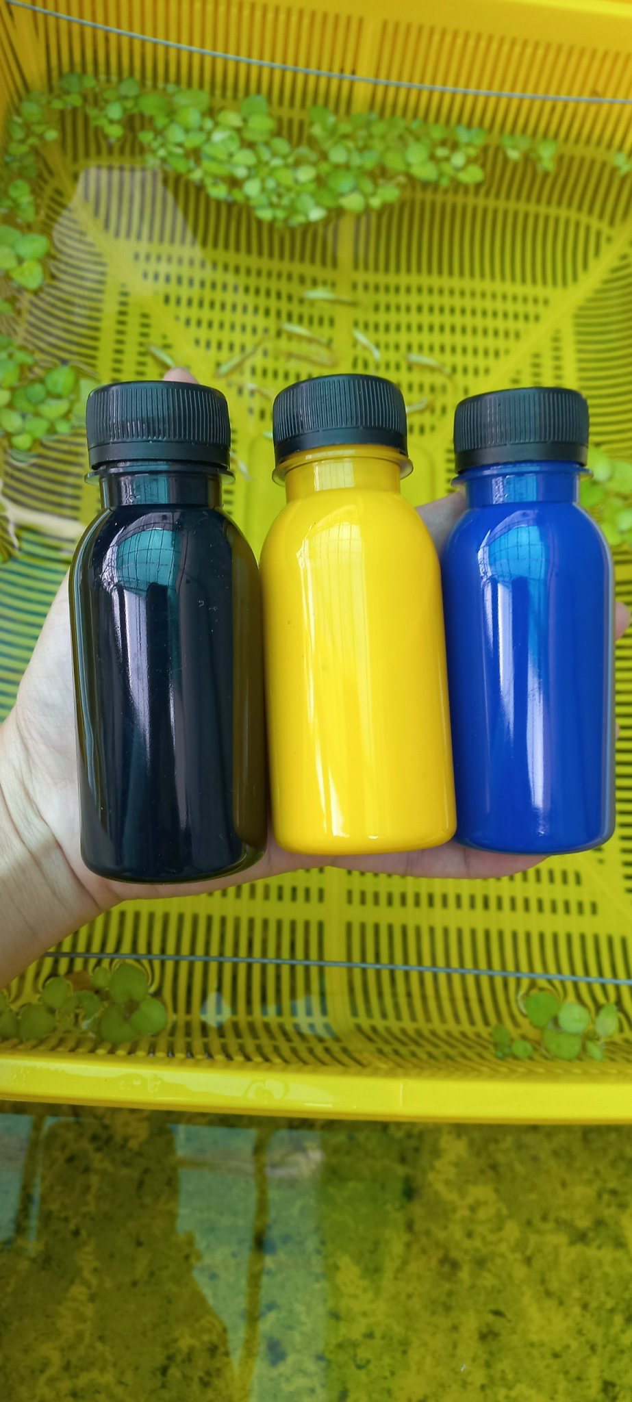 Sơn chống thấm thùng xốp
