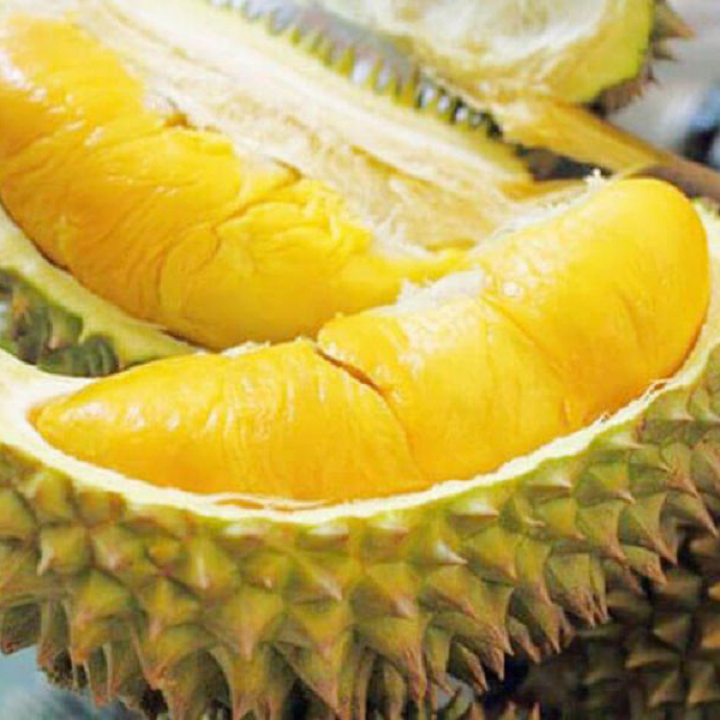 Cây giống sầu riêng Ri6