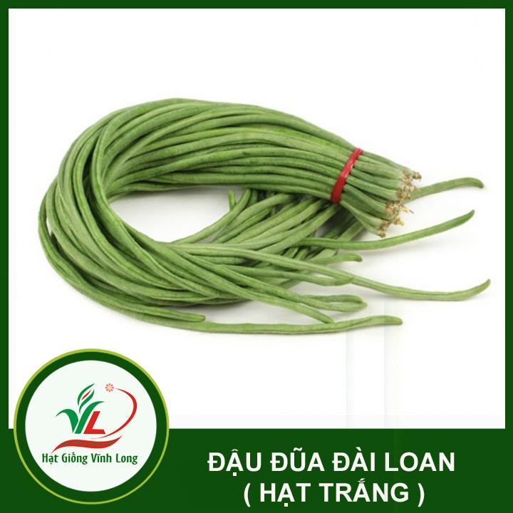 Hạt giống Đậu đũa Đài Loan hạt trắng RD 759 -  20g
