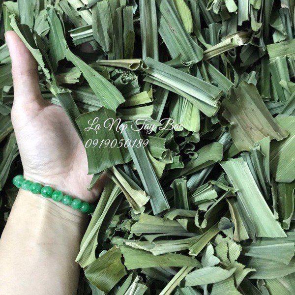 TRÀ LÁ NẾP TÂY BẮC ( Trà Lá Dứa/ Lá Thơm/ Lá Cơm Nếp)