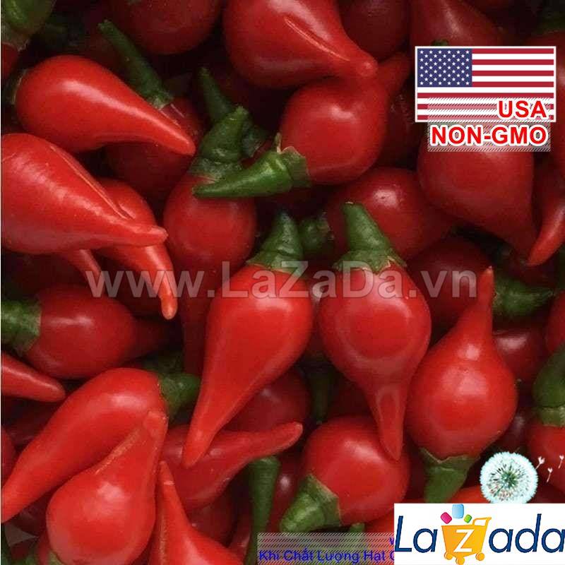 1Gr 170 Hạt Hạt Giống Ớt Kiểng Lùn Biquinho Đỏ (| C2)