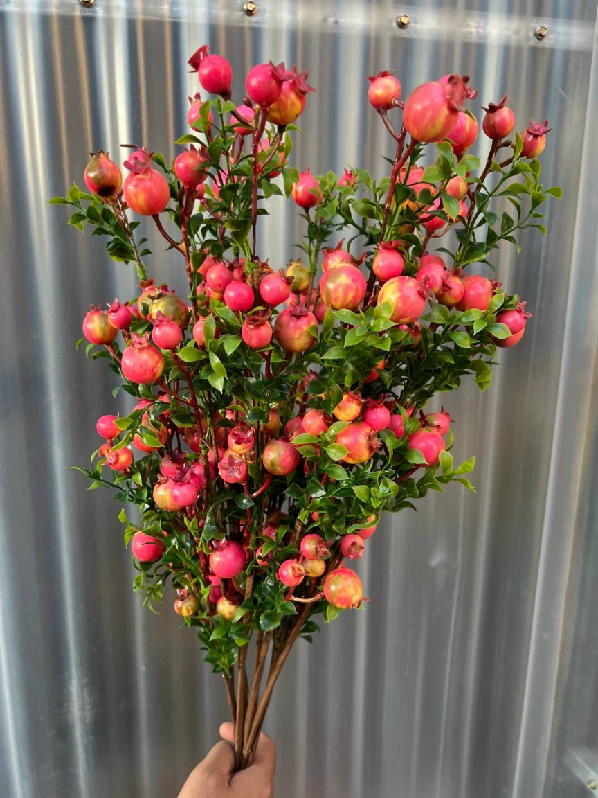 Branches fruit pomegranate fruit big, small fruit, stems mandarin imported decorative New Year, homes, bars Amnesty imports type 1