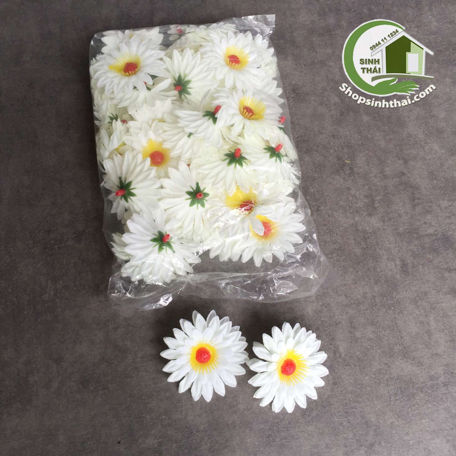 [HCM]Bịch hoa cúc trắng 25 bông
