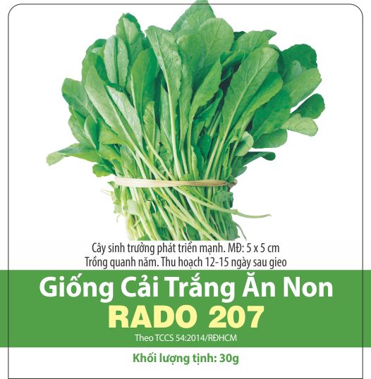 Hạt giống cải trắng ăn non
