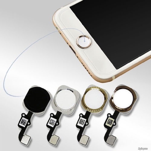 Nút home vật lý Iphone 7 plus / 8 plus