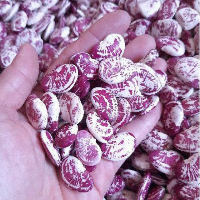Đậu Ngự          500Gr