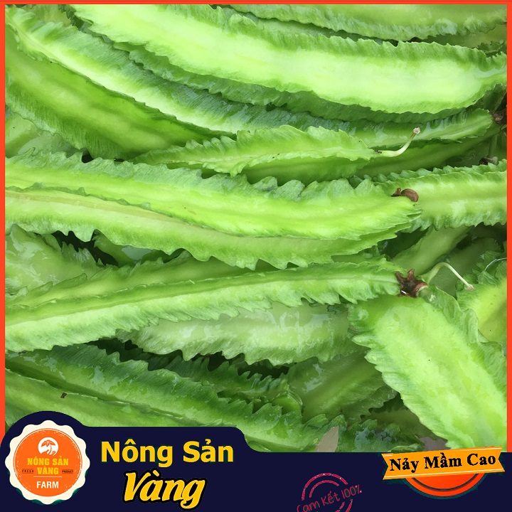 Hạt giống Đậu Khế (Đậu Rồng) Giá Trị Dinh Dưỡng Khá Cao, Chế Biến Thành Nhiều Món Ăn Ngon Bổ Dưỡng (Gói 10 Gram) - Nông Sản Vàng