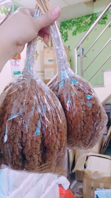 [HCM]Kê chùm vàng Bỉ gói 100g