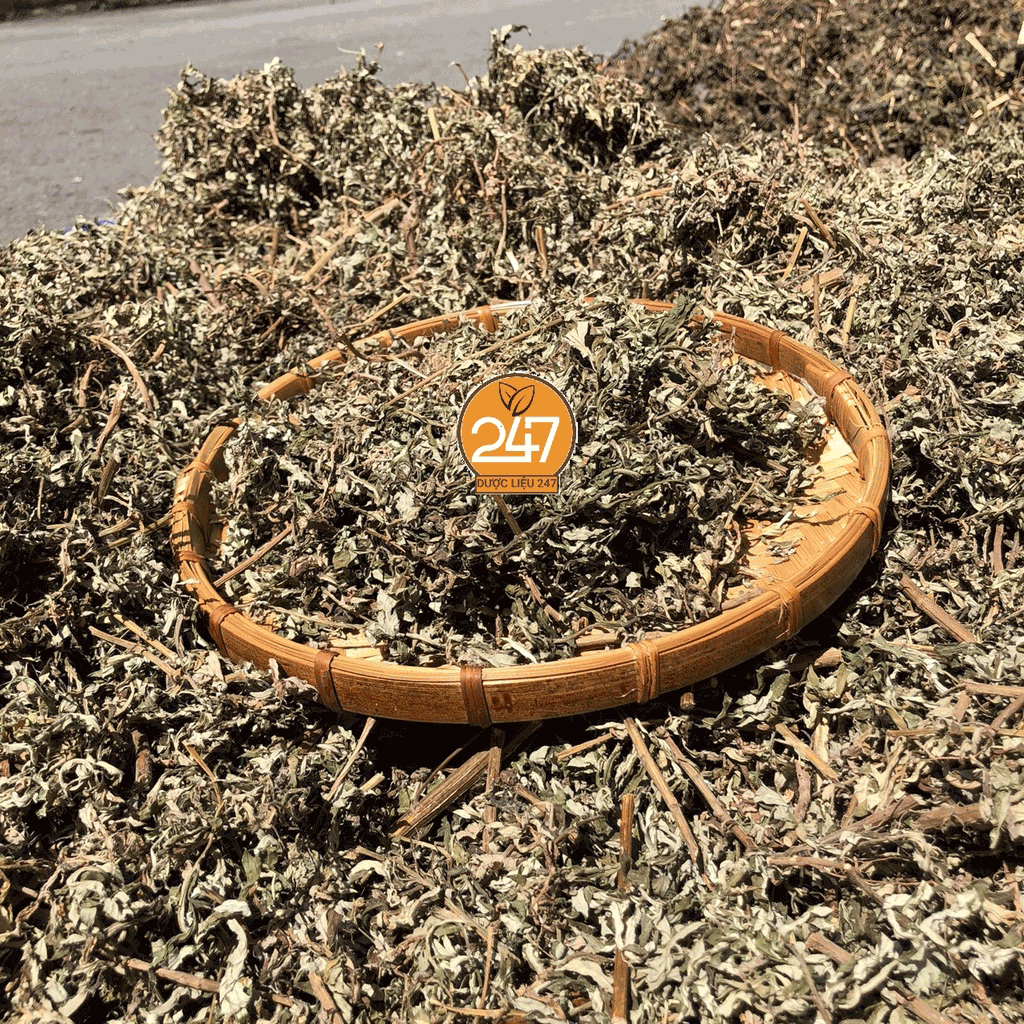 500g, 1kg ngải cứu - xông giải cảm, điều kinh, an thai, ôn hòa khí huyết, lưu thông máu