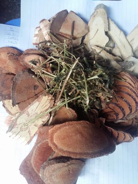 1kg Cỏ máu tăng cân -Đặc sản Hòa Bình 28