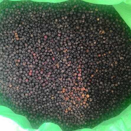 1 KG TIÊU HẠT PHƠI KHÔ NGUYÊN CHẤT DAKLAK