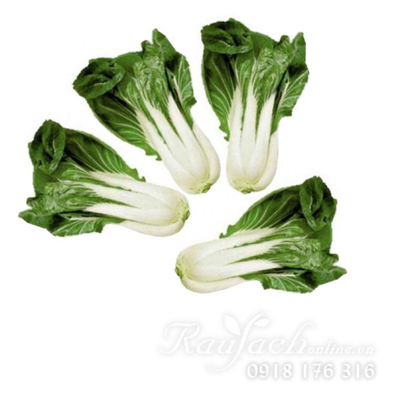 [HCM]Gói 10g hạt giống cải bẹ trắng