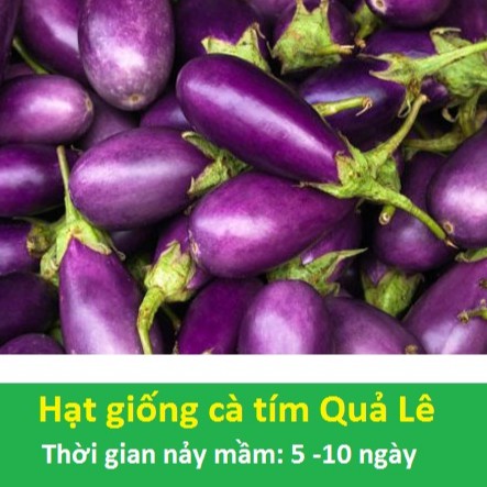 [HCM]Hạt Giống Cà Tím Quả Lê Gói 2Gr