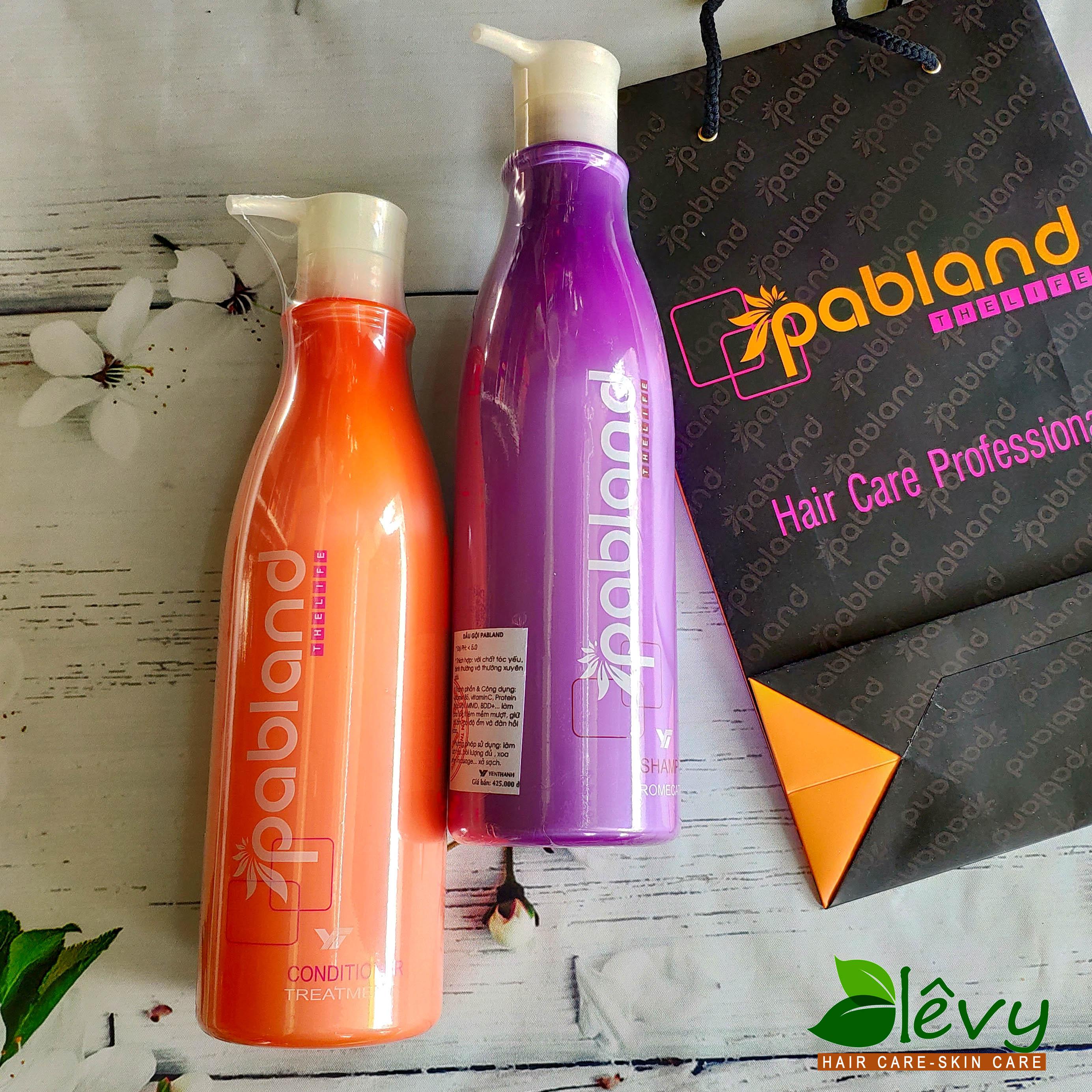 Cặp Dầu Gội xả Cân Bằng PH Pabland 750ml