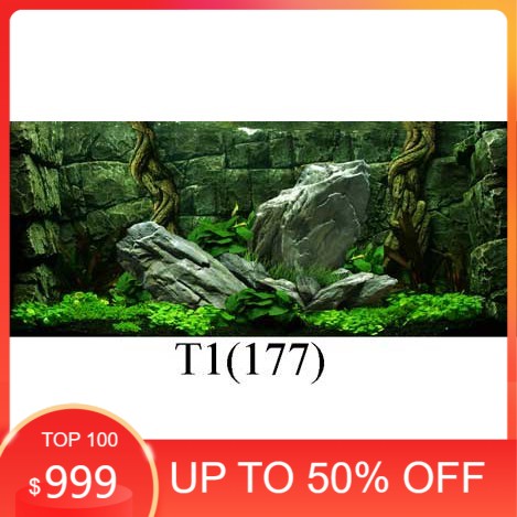 Tranh 3D dán bể cá cảnh hồ thuỷ sinh