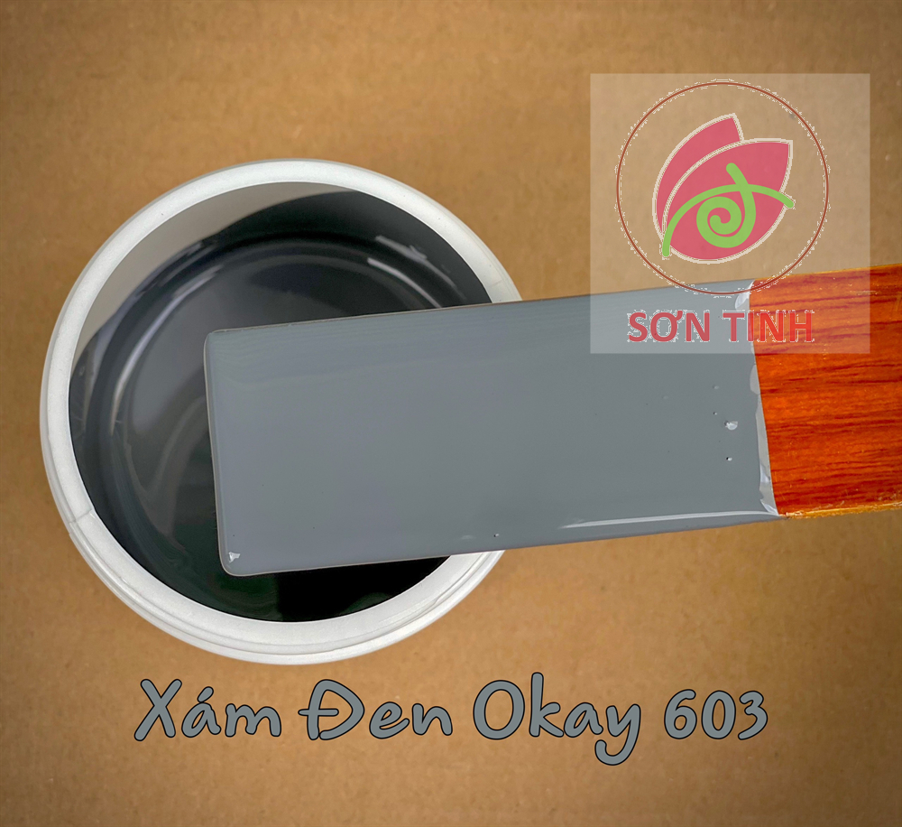 SƠN CHẬU KIỂNG, SƠN CHẬU CẢNH HỆ NƯỚC OKAY LON 1KG ( NHIỀU MÀU)