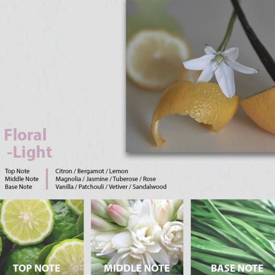 NƯỚC HOA CLAEL PERFUME EDP HÀN QUỐC 8ML.