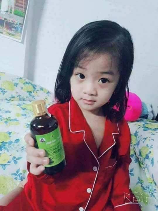 TINH DẦU TRÀM NGUYÊN CHẤT TRẦN MAO