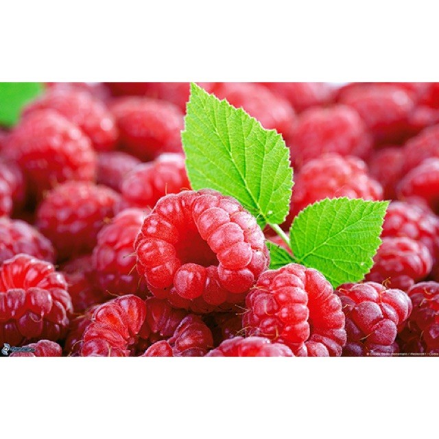 HẠT GIỐNG QUẢ MÂM XÔI ĐỎ - 10 hạt