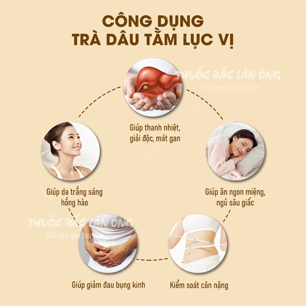 Set trà dâu lục vị mix (Dâu tằm, táo đỏ, hoa hồng tây tạng, kỳ tử, hoa nhài) - Thuốc bắc lãn ông