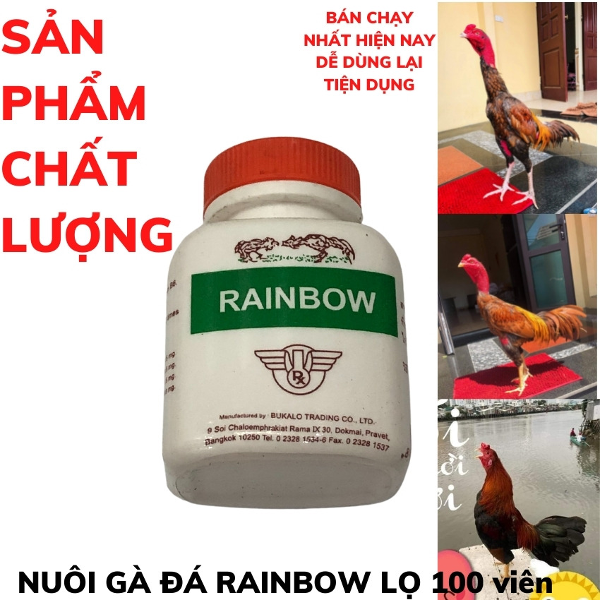 TĂNG CƠ RAINBOW nuôi gà đá lọ 100 viên