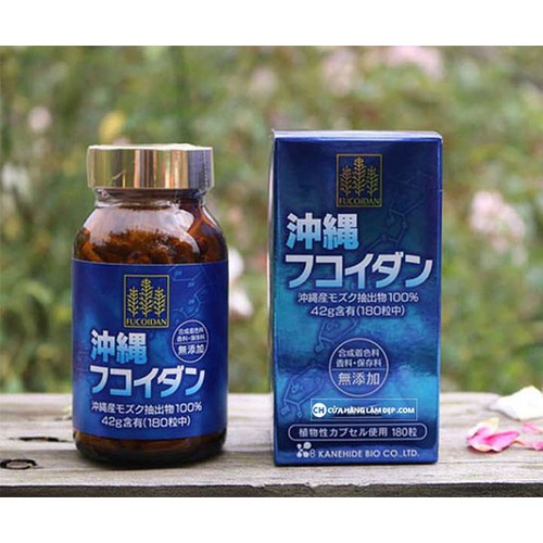 Viên Tảo Uống Hỗ Trợ Ung Thư Fucoidan Okinawa Xanh 180 Viên Nhật Bản