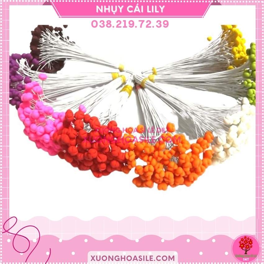 [HCM]NHỤY HOA LY