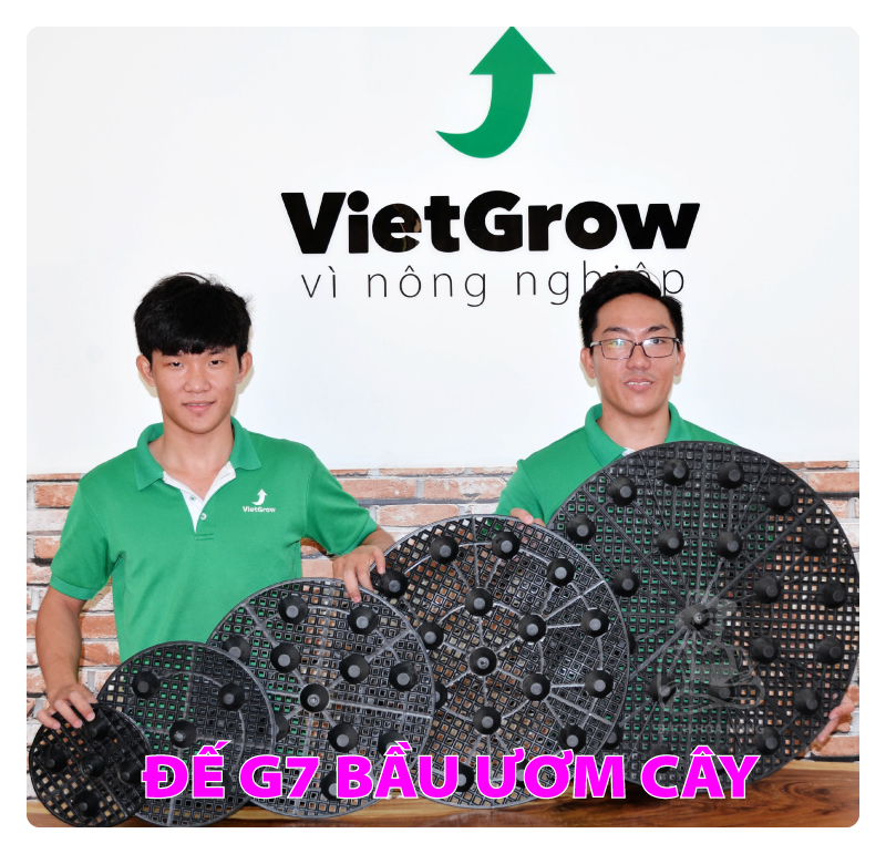 [HCM]Đế bầu G7 dùng cho Bầu ươm V6 -  20cm