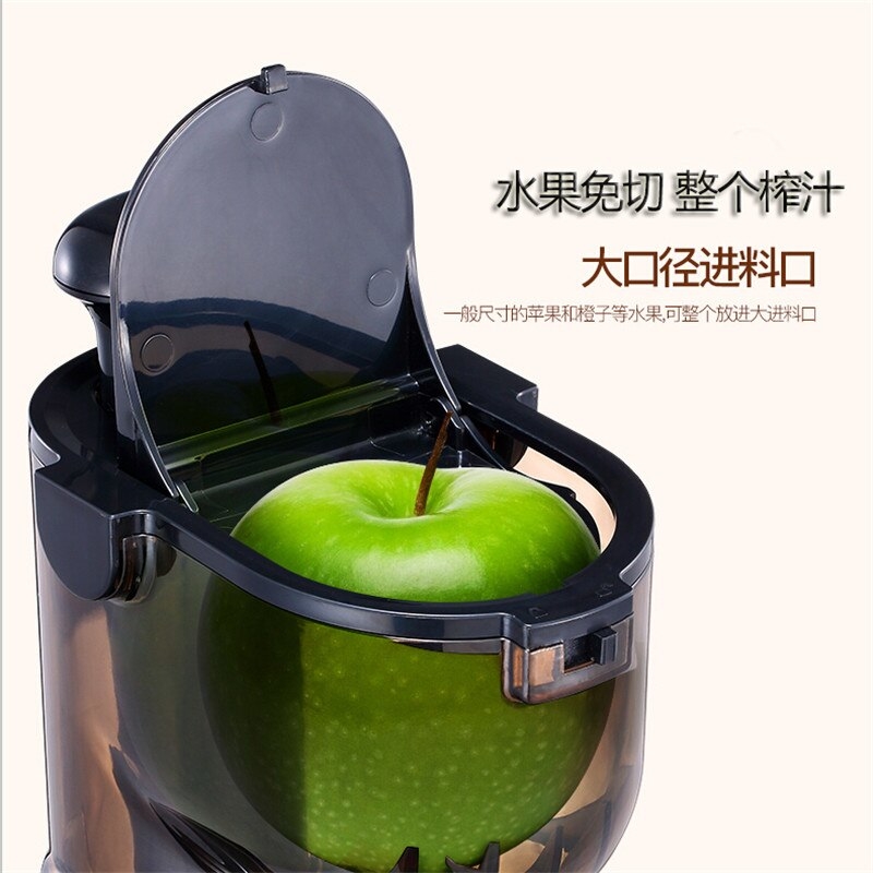 [BẢO HÀNH 12 THÁNG] MÁY ÉP HOA QUẢ TỐC ĐỘ CHẬM CAO CẤP RANBEM 615, Máy ép trái cây, máy ép chậm