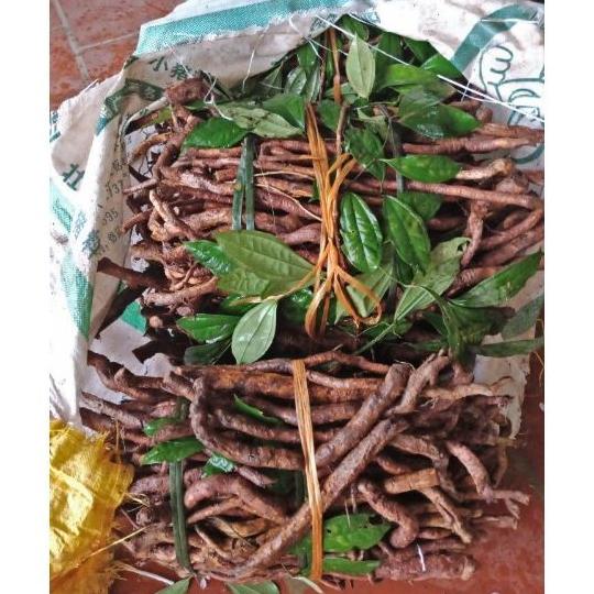 combo 2kg sâm xuyên đá tươi