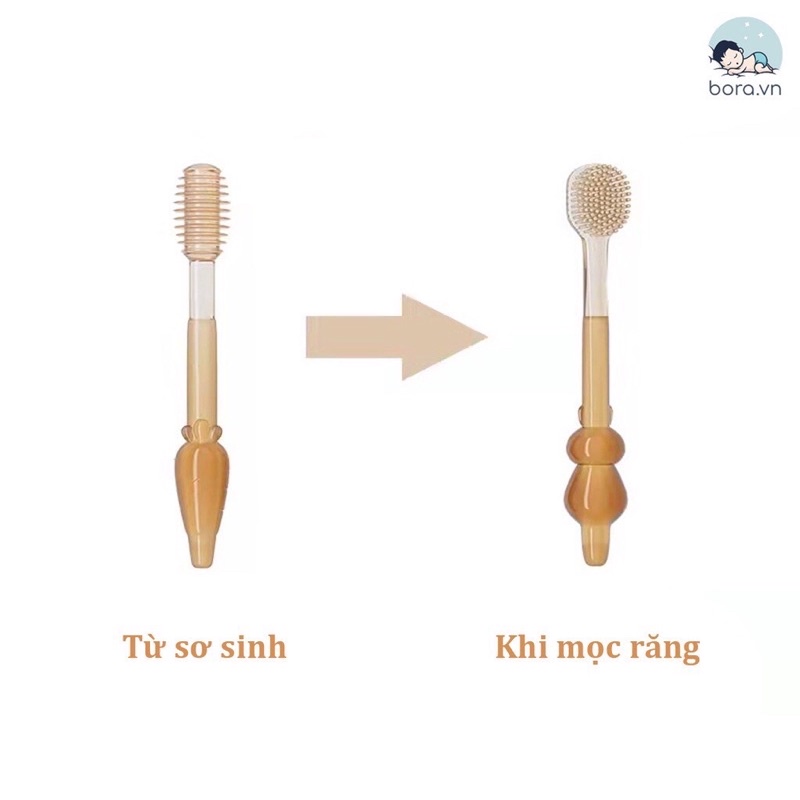 Set dơ lưỡi+ bàn chải silicon cho bé từ 0-36 tháng ( kèm hộp vàng)