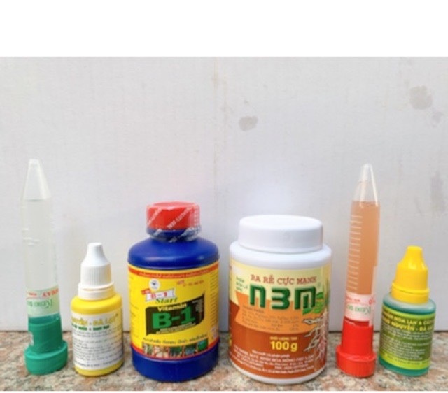 6 loại b1,kích rễ n3m, kei ky,chế phẩm cho hoa lan và cây cảnh