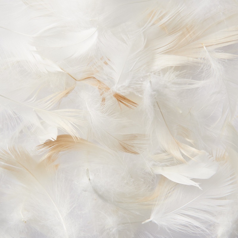 Muji gối tựa lưng lông vũ