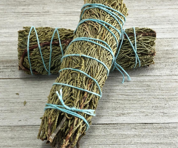 Juniper - Cây Bách Xù - Thảo Mộc Xông Nhà
