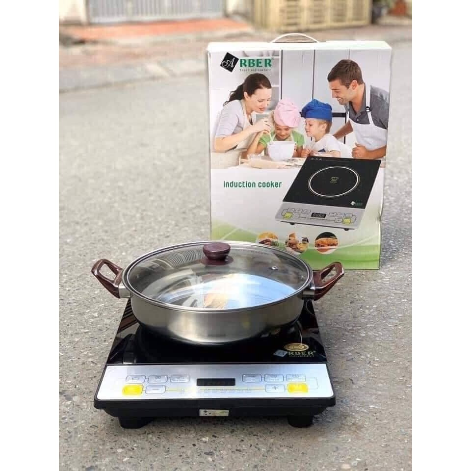 BẾP TỪ ARBER AB300