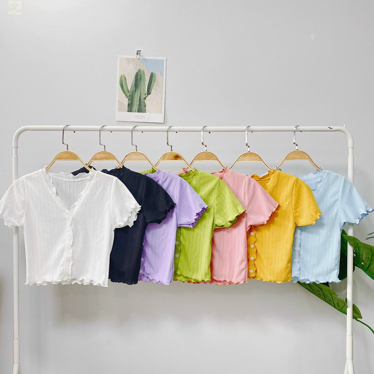 Áo croptop cổ tim viền bèo phối nút cực sang