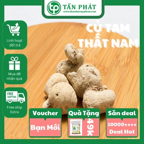 [Hàng mới về] Củ tam thất nam khô 100g - Tấn Phát - Hỗ trợ cải thiện sức khoẻ
