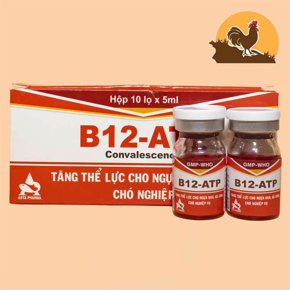 COMBO 10 LỌ Thuốc tăng lực cho gà đá B12 ATP
