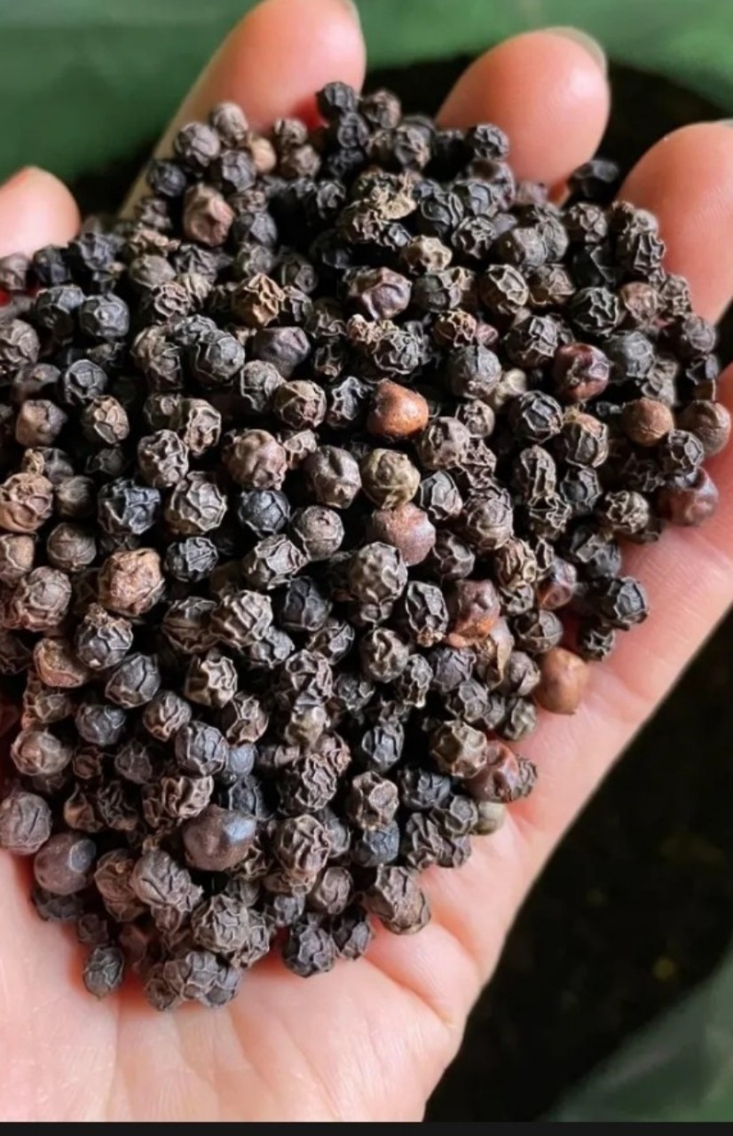 HẠT TIÊU ĐEN 100gr - 500gr - 1000gr